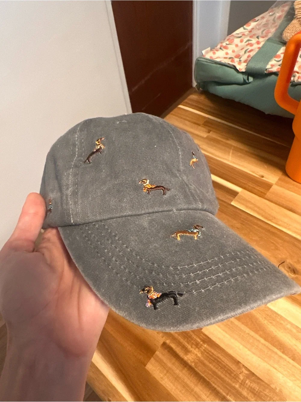 Dachshund hat
